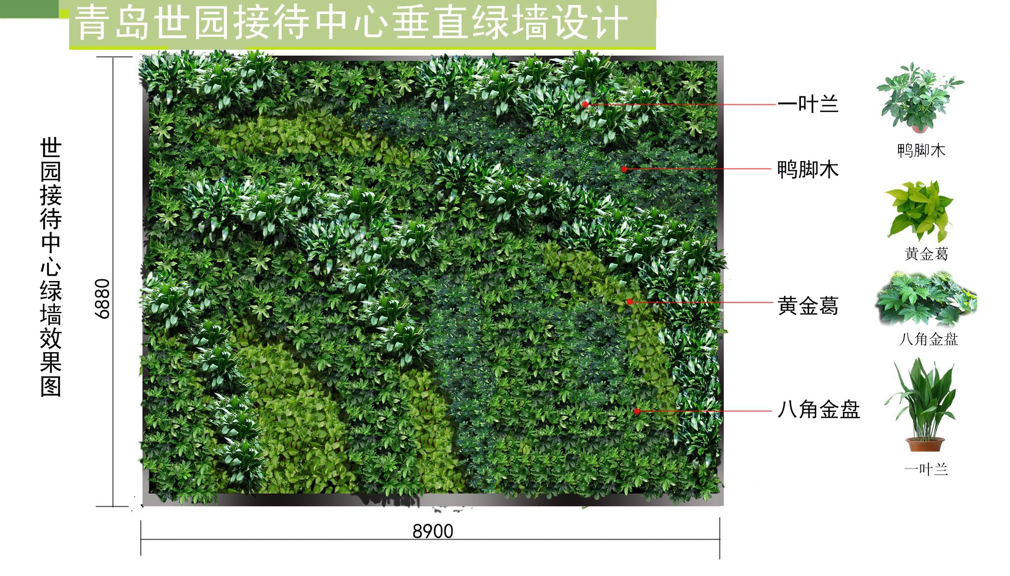 青岛世园接待中心大堂垂直绿化